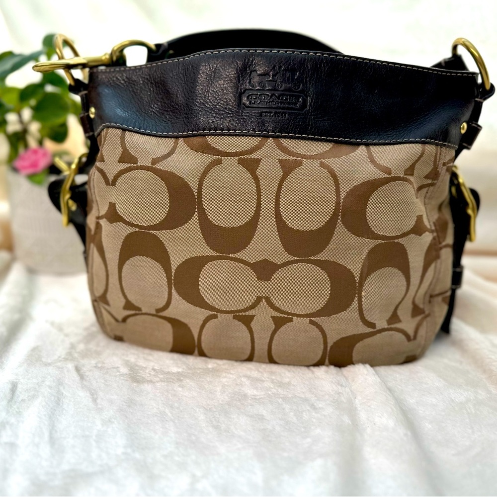 Brown Coach purse